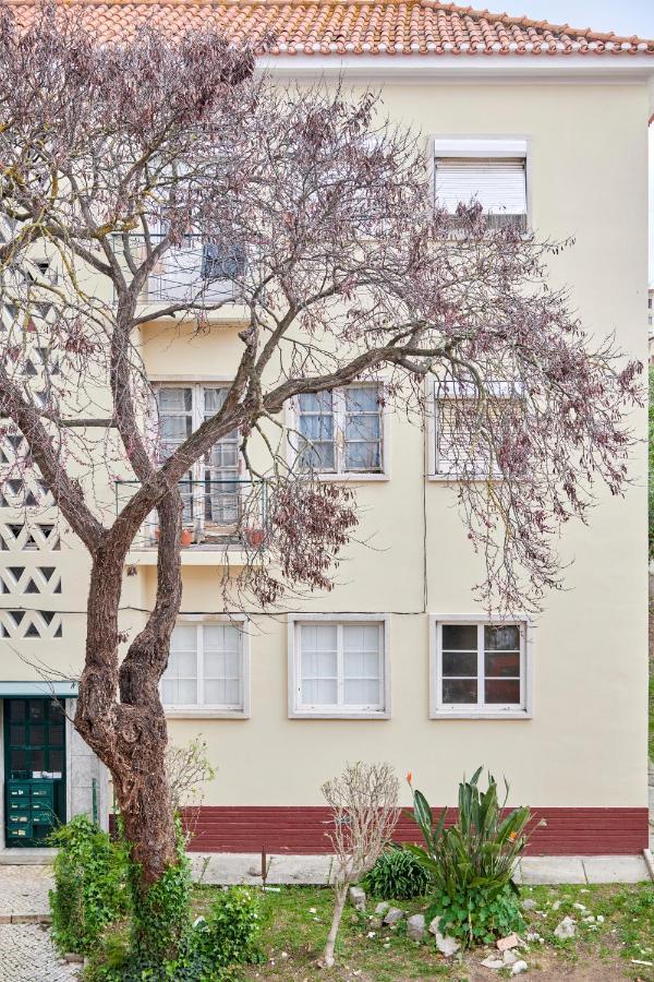 Sunny Renovated Apt With Ac, By Timecooler Lissabon Buitenkant foto